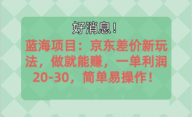 越早知道越能赚到钱的蓝海项目：京东大平台操作，一单利润20-30，简单…网创吧-网创项目资源站-副业项目-创业项目-搞钱项目八海掘金网创吧