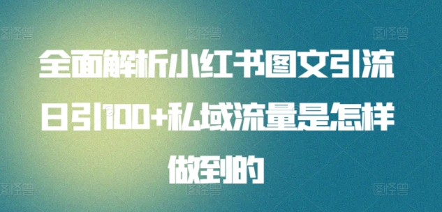 暴力引流 小红书图文引流日引100私域全面拆解【打粉人必看】网创吧-网创项目资源站-副业项目-创业项目-搞钱项目八海掘金网创吧
