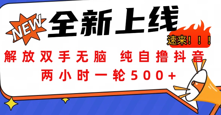 解放双手无脑 纯自撸抖音 两小时一轮500+网创吧-网创项目资源站-副业项目-创业项目-搞钱项目八海掘金网创吧