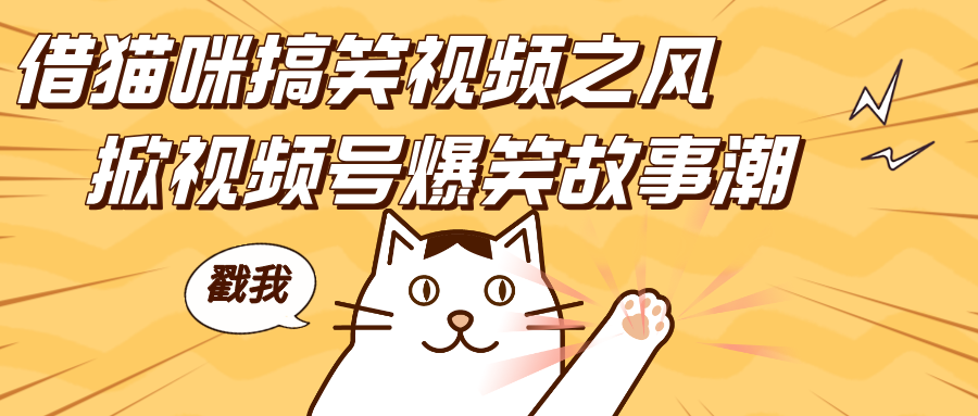 借猫咪搞笑视频之风，掀视频号爆笑故事潮，轻松日赚四位数，开启无门槛赚钱新体验！网创吧-网创项目资源站-副业项目-创业项目-搞钱项目八海掘金网创吧