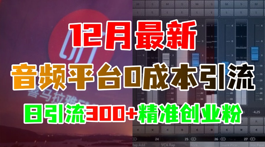 12月最新：音频平台0成本引流，日引300+精准创业粉网创吧-网创项目资源站-副业项目-创业项目-搞钱项目八海掘金网创吧
