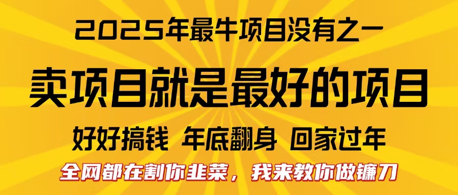 全网都在割你韭菜，我来教你做镰刀。卖项目就是最好的项目，2025年最牛互联网项目网创吧-网创项目资源站-副业项目-创业项目-搞钱项目八海掘金网创吧