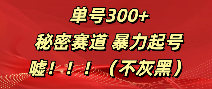 单号300+  秘密赛道 暴力起号  （不灰黑）网创吧-网创项目资源站-副业项目-创业项目-搞钱项目八海掘金网创吧