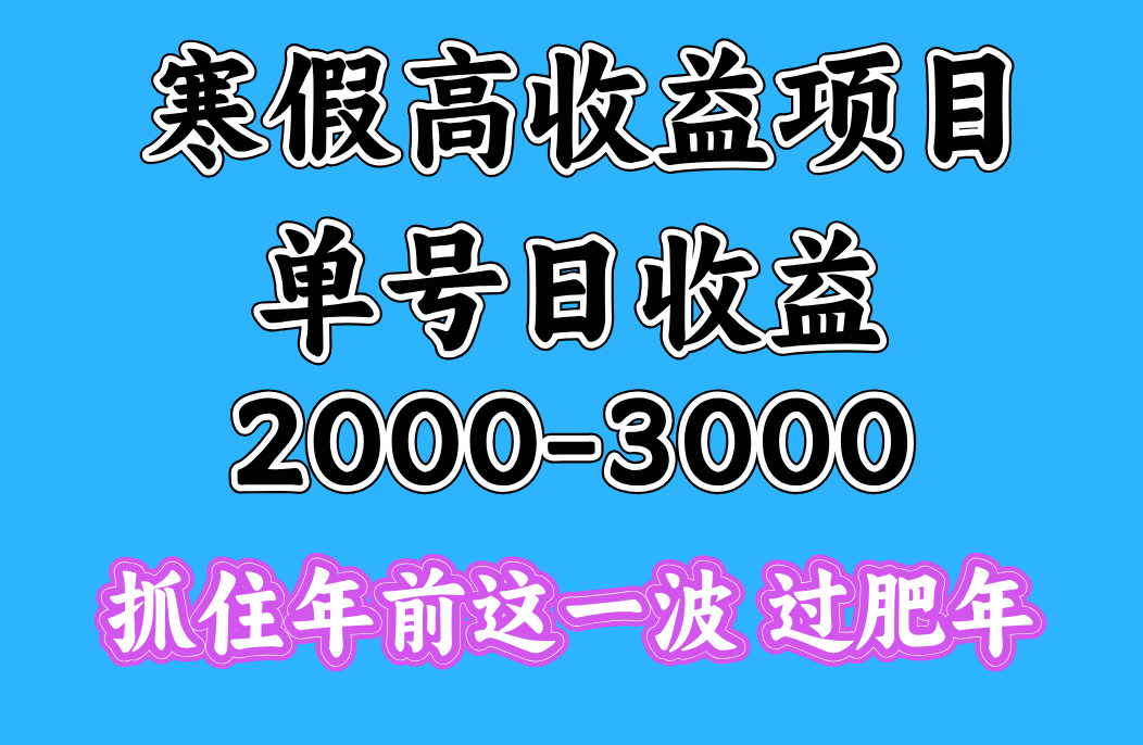 寒假期间一天收益2000-3000+，抓住年前这一波网创吧-网创项目资源站-副业项目-创业项目-搞钱项目八海掘金网创吧