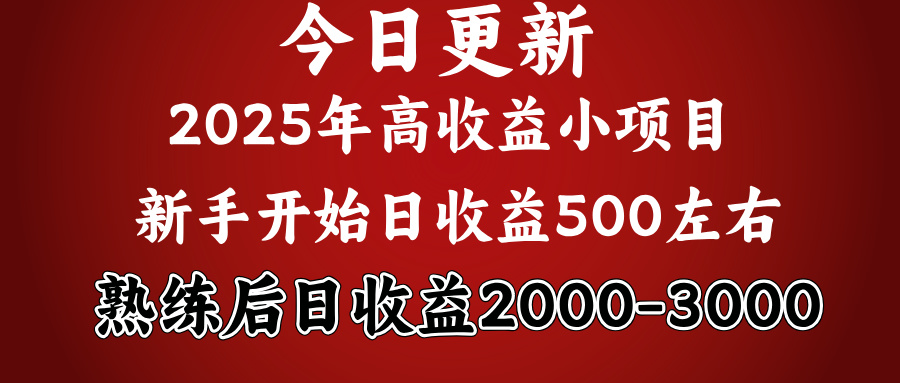 好项目一眼就能看出来，日收益1000，长久可做，2025拼的就是我比你勤奋网创吧-网创项目资源站-副业项目-创业项目-搞钱项目八海掘金网创吧