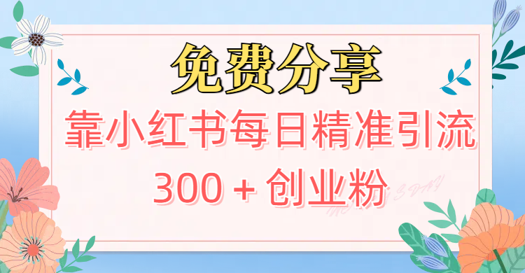 2025最新引流！靠小红书每日精准引流300＋创业粉网创吧-网创项目资源站-副业项目-创业项目-搞钱项目八海掘金网创吧
