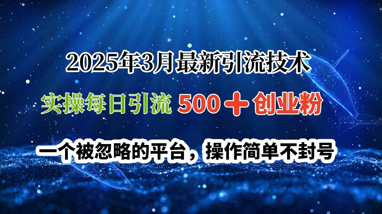 2025年3月最新引流技术，实操每日引流500➕创业粉，一个被忽略的平台，操作简单不封号网创吧-网创项目资源站-副业项目-创业项目-搞钱项目八海掘金网创吧