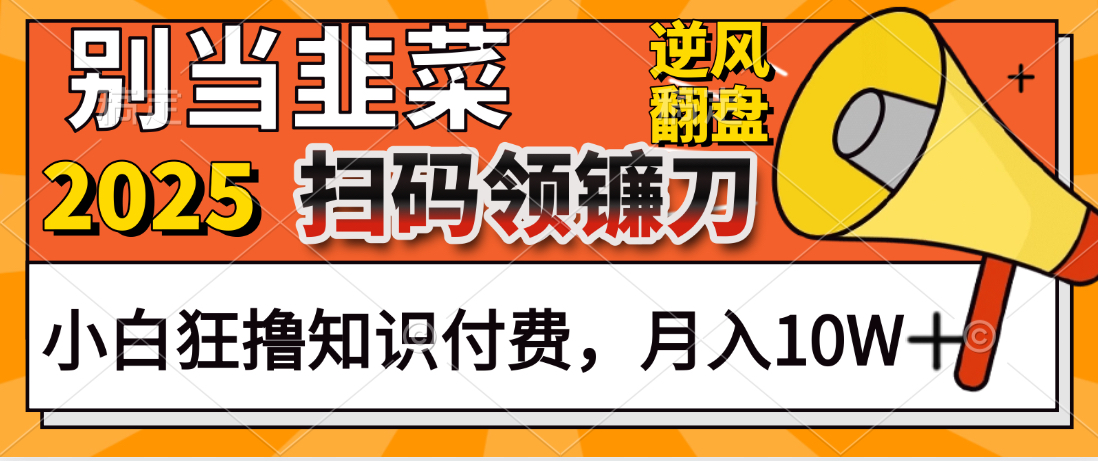 2025别当韭菜！扫码领镰刀！小白狂撸知识付费月入10W+网创吧-网创项目资源站-副业项目-创业项目-搞钱项目八海掘金网创吧