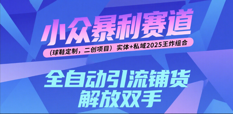 楠—小众暴利赛道（球鞋定制，二创项目）实体+私域2025王炸组合网创吧-网创项目资源站-副业项目-创业项目-搞钱项目八海掘金网创吧