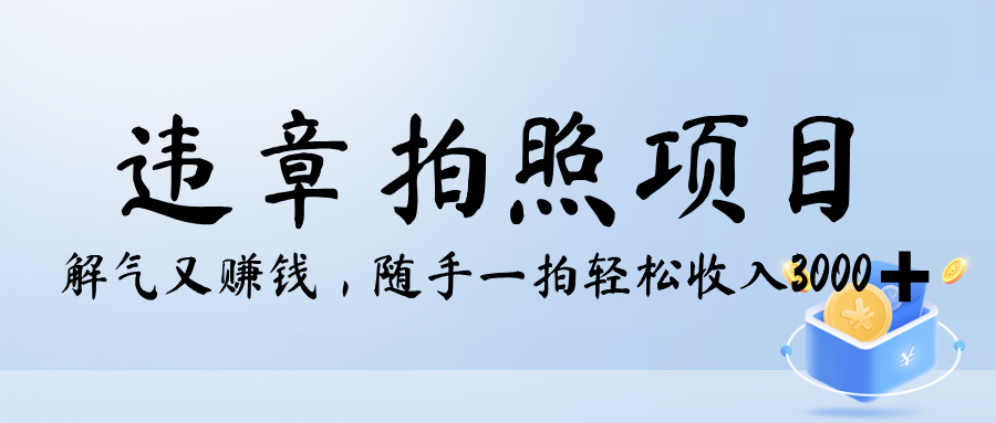 解气又赚钱的项目，最新违章拍照赚钱，随手一拍，轻松收入3000+网创吧-网创项目资源站-副业项目-创业项目-搞钱项目八海掘金网创吧