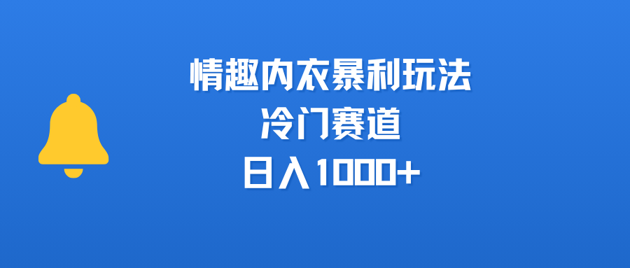 情趣内衣暴利玩法，冷门赛道，日入1000+网创吧-网创项目资源站-副业项目-创业项目-搞钱项目八海掘金网创吧